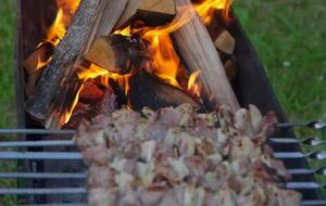 Самым лучшим вариантом древесины для приготовления шашлыка являются фруктовые деревья