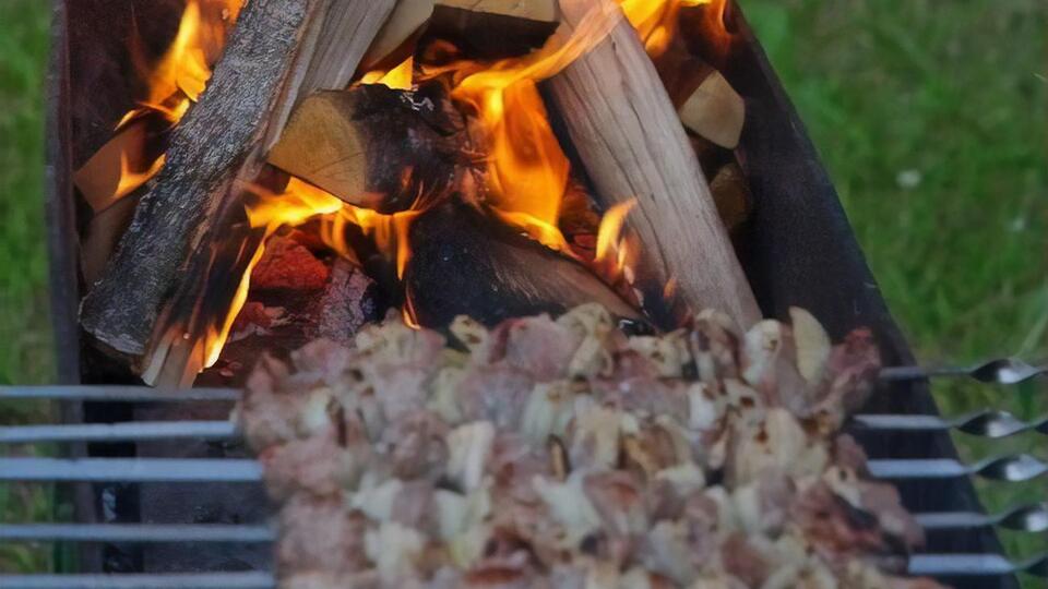 Самым лучшим вариантом древесины для приготовления шашлыка являются фруктовые деревья