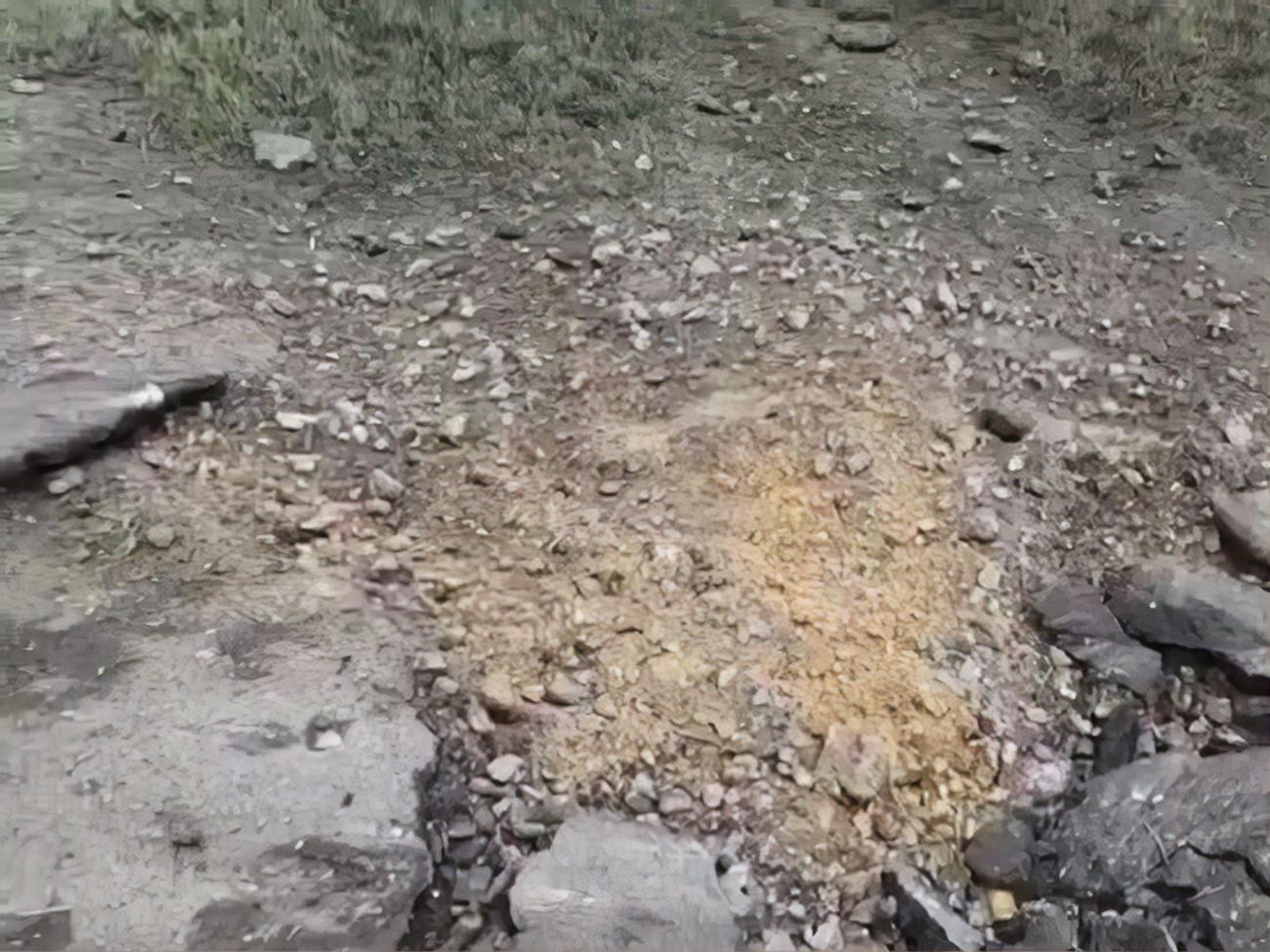 Снаряд оккупантов попал в городской парк