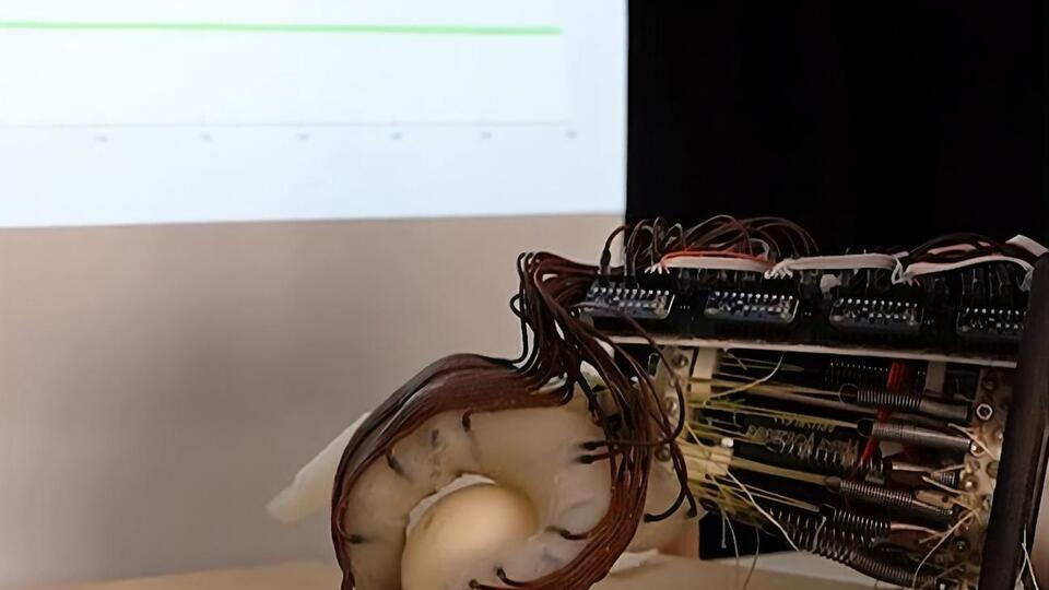 Розробники вважають, що їхня технологія допоможе під час розроблення недорогих роботів