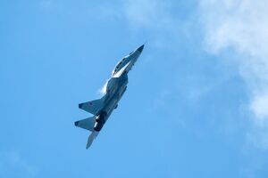 Поставка Украине МиГ-29 усилит возможности истребительной авиации Воздушных сил, сообщал спикер ВС ВСУ Игнат