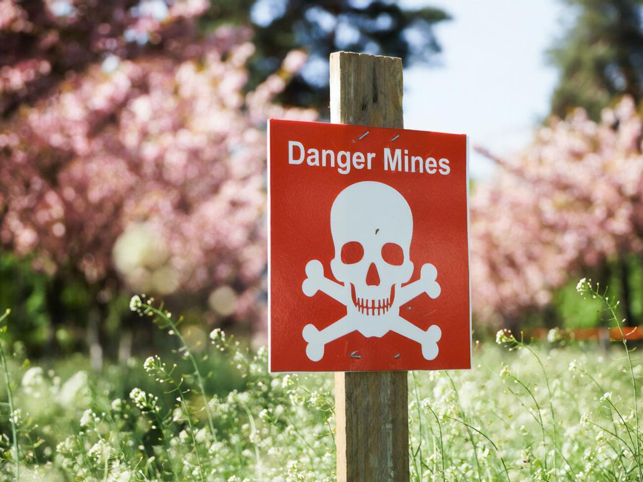 В результате российской агрессии около 30% территории Украины загрязнено взрывоопасными предметами