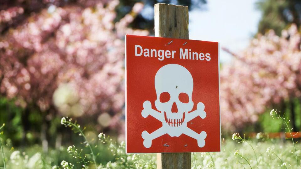 Унаслідок російської агресії приблизно 30% території України забруднено вибухонебезпечними предметами