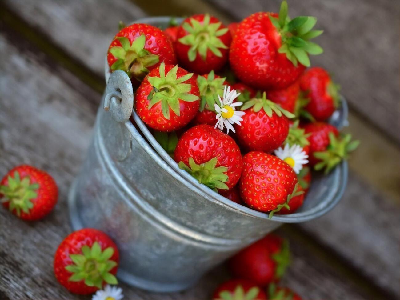 Клубника порадует богатым урожаем