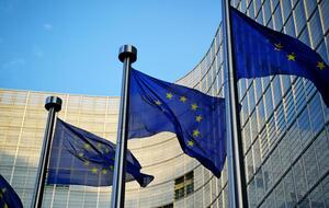 По данным СМИ, под санкции ЕС могут попасть Илан Шор и Владимир Плахотнюк