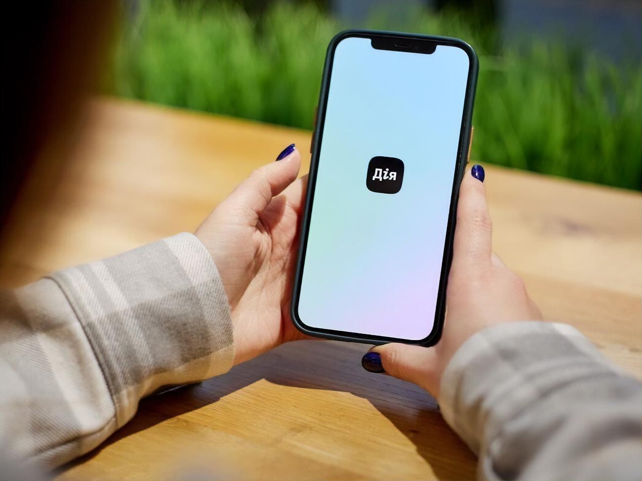 Федоров розповів про нову послугу в "Дії"