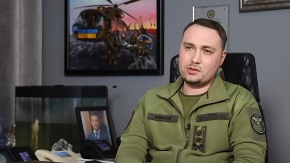 Лягушка Буданова поднялась со дна аквариума и совершила несколько плавных движений
