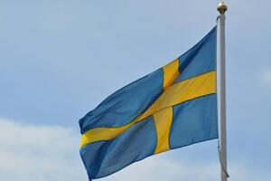 У Швеції наголосили, що діяльність росіян несумісна з їхнім дипломатичним статусом