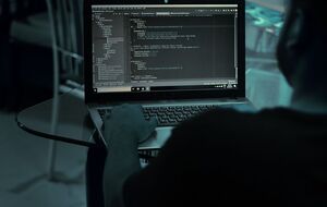 Согласно слитым данным, российская дезинформация проводилась в феврале