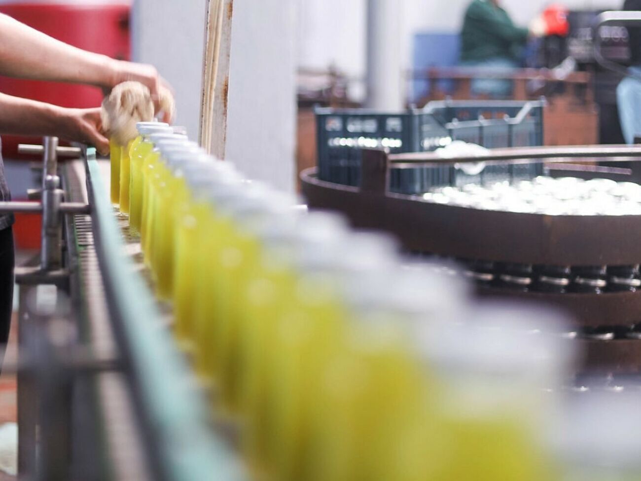 Кроме растительного масла, Польша хочет ограничить ввоз мяса, молока и других продуктов