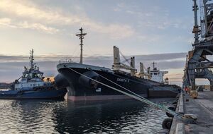 Четыре судна с украинским зерном не смогли покинуть порты Черноморск, Одесса и Пивденный