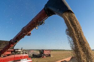 В Україні цієї весни виникли проблеми з експортом сільгосппродукції в деякі країни ЄС
