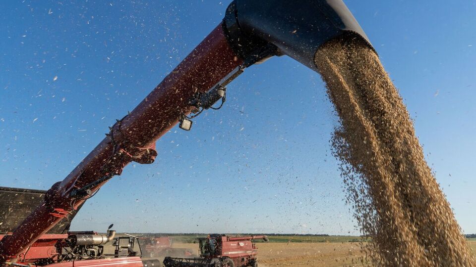 В Україні цієї весни виникли проблеми з експортом сільгосппродукції в деякі країни ЄС