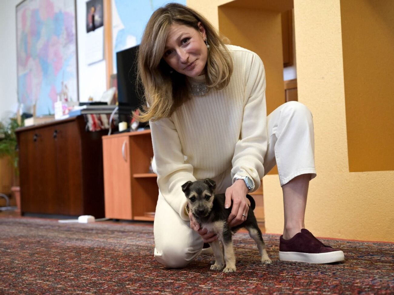 Новый питомец Джапаровой был подобран на трассе в Донецкой области