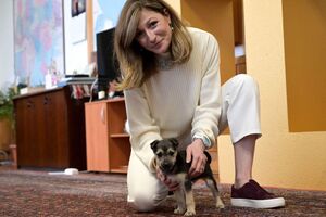 Новый питомец Джапаровой был подобран на трассе в Донецкой области