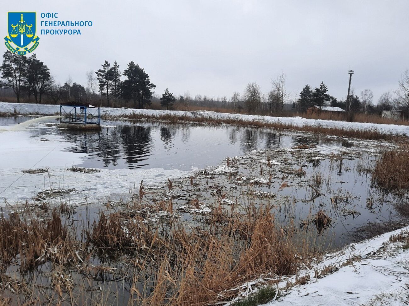 Следствие показало, что в реке, куда сбрасывали стоки с фабрики,&nbsp;исчезла флора и фауна,&nbsp;разрушена гидроэкосистема