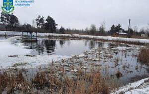 Следствие показало, что в реке, куда сбрасывали стоки с фабрики, исчезла флора и фауна, разрушена гидроэкосистема