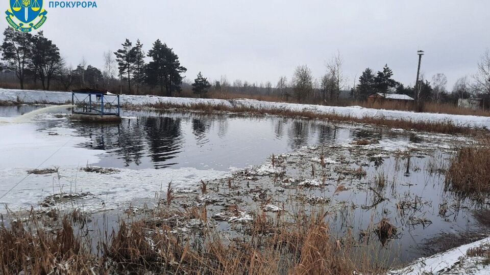 Следствие показало, что в реке, куда сбрасывали стоки с фабрики, исчезла флора и фауна, разрушена гидроэкосистема