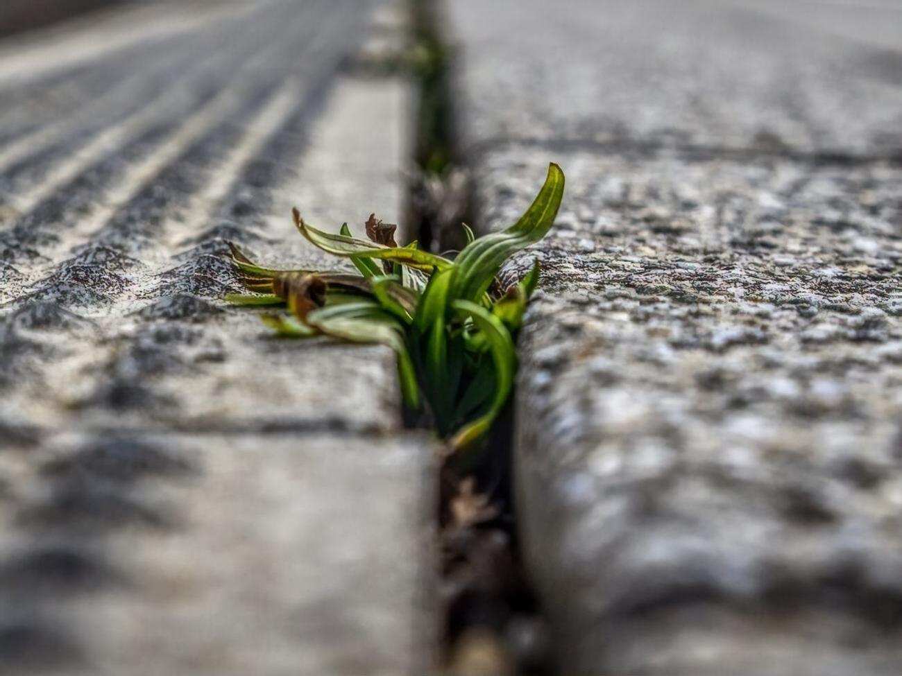 Результат появится через пять часов после применения раствора