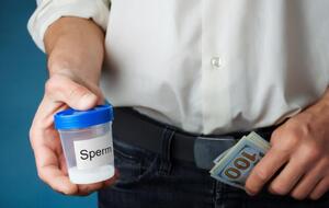 Суд постановил, что голландец врал, чтобы заставить родителей выбрать его в качестве донора