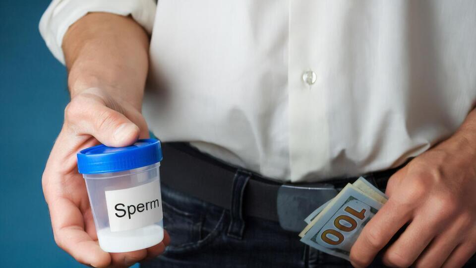 Суд постановил, что голландец врал, чтобы заставить родителей выбрать его в качестве донора