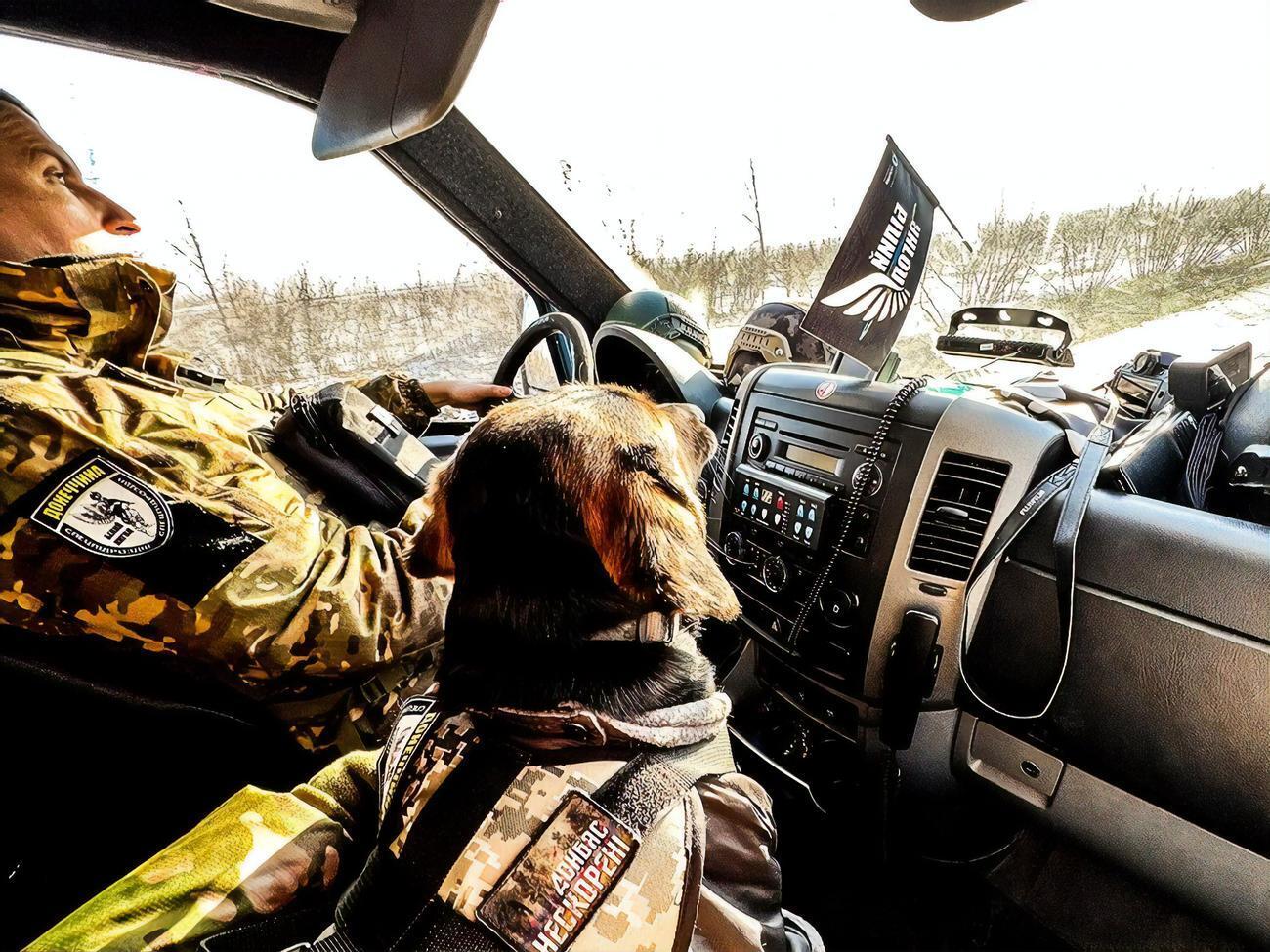 У Донецькій області працює п'ять евакуаційних екіпажів поліції "Білі ангели", зазначили у Мінреінтеграції