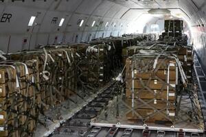 По данным СМИ, главной целью шпионов является логистическое устройство поставок западного оружия Киеву