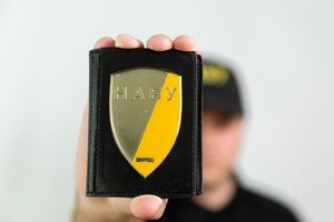 Бутусов утверждает, что НАБУ проводит "масштабные обыски"