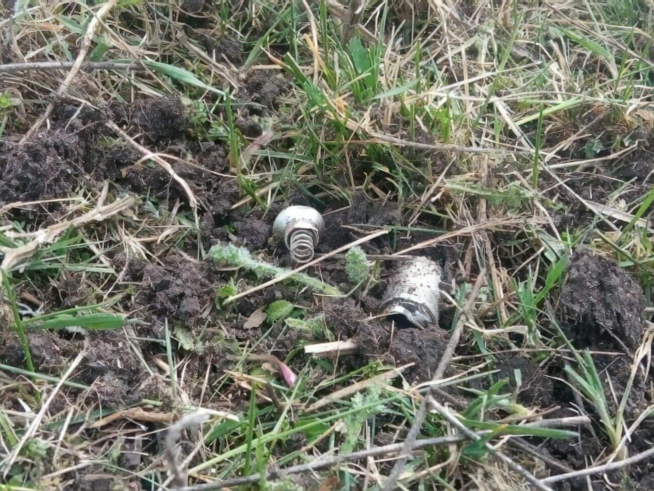 Взрывное устройство сдетонировало во время обследования и разминирования территории Новой Гусаровки, отметили в полиции Харьковской области