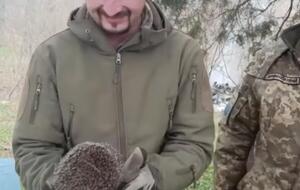 История о спасении ежика стала вирусной в сети