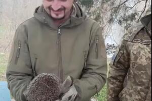 История о спасении ежика стала вирусной в сети
