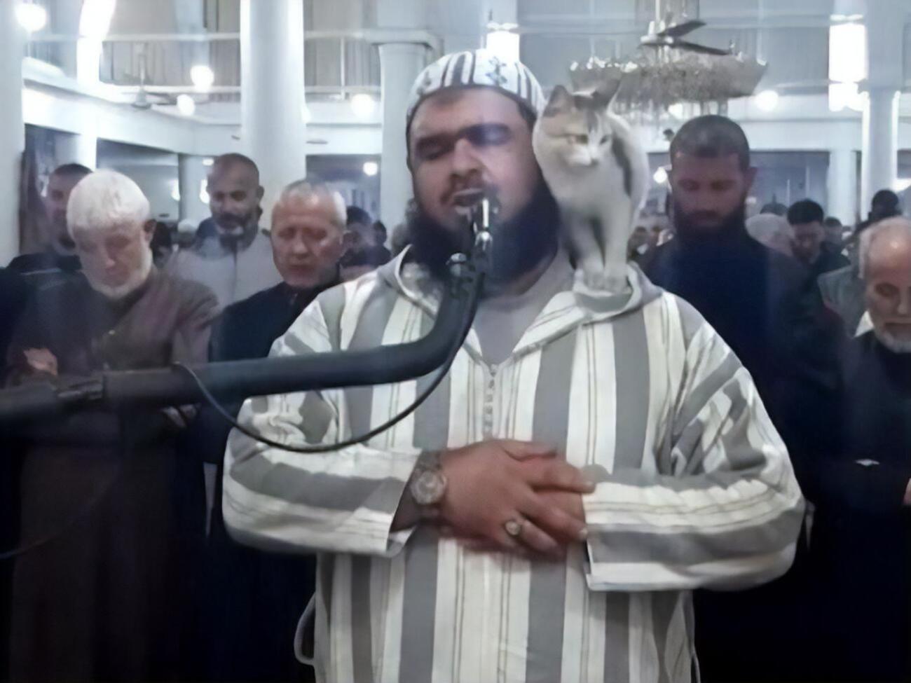 Шейх Валід Мегсас продовжив молитву після того, як на нього заліз кіт