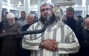 Шейх Валид Мегсас продолжил молитву после того, как на него взобрался кот