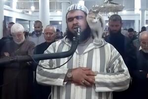 Шейх Валид Мегсас продолжил молитву после того, как на него взобрался кот