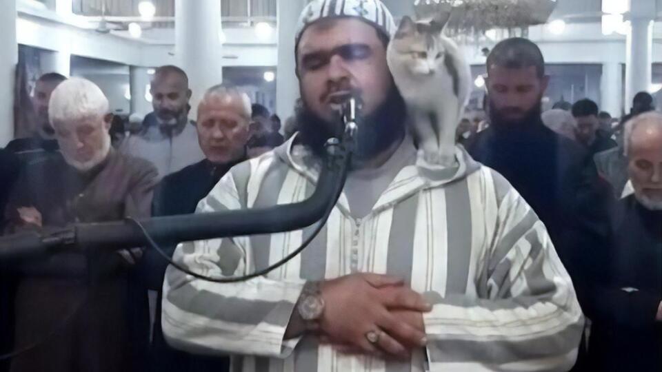 Шейх Валід Мегсас продовжив молитву після того, як на нього заліз кіт
