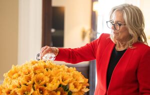 Джилл Байден пожелала, чтобы названные в ее честь цветы стали знаком многолетней дружбы между США и Нидерландами