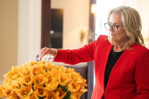 Джилл Байден пожелала, чтобы названные в ее честь цветы стали знаком многолетней дружбы между США и Нидерландами