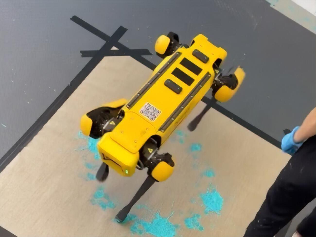 Роботов рисовать учит художница Агнешка Пилат