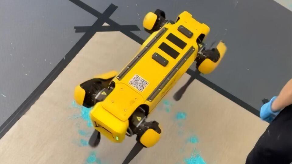 Роботов рисовать учит художница Агнешка Пилат