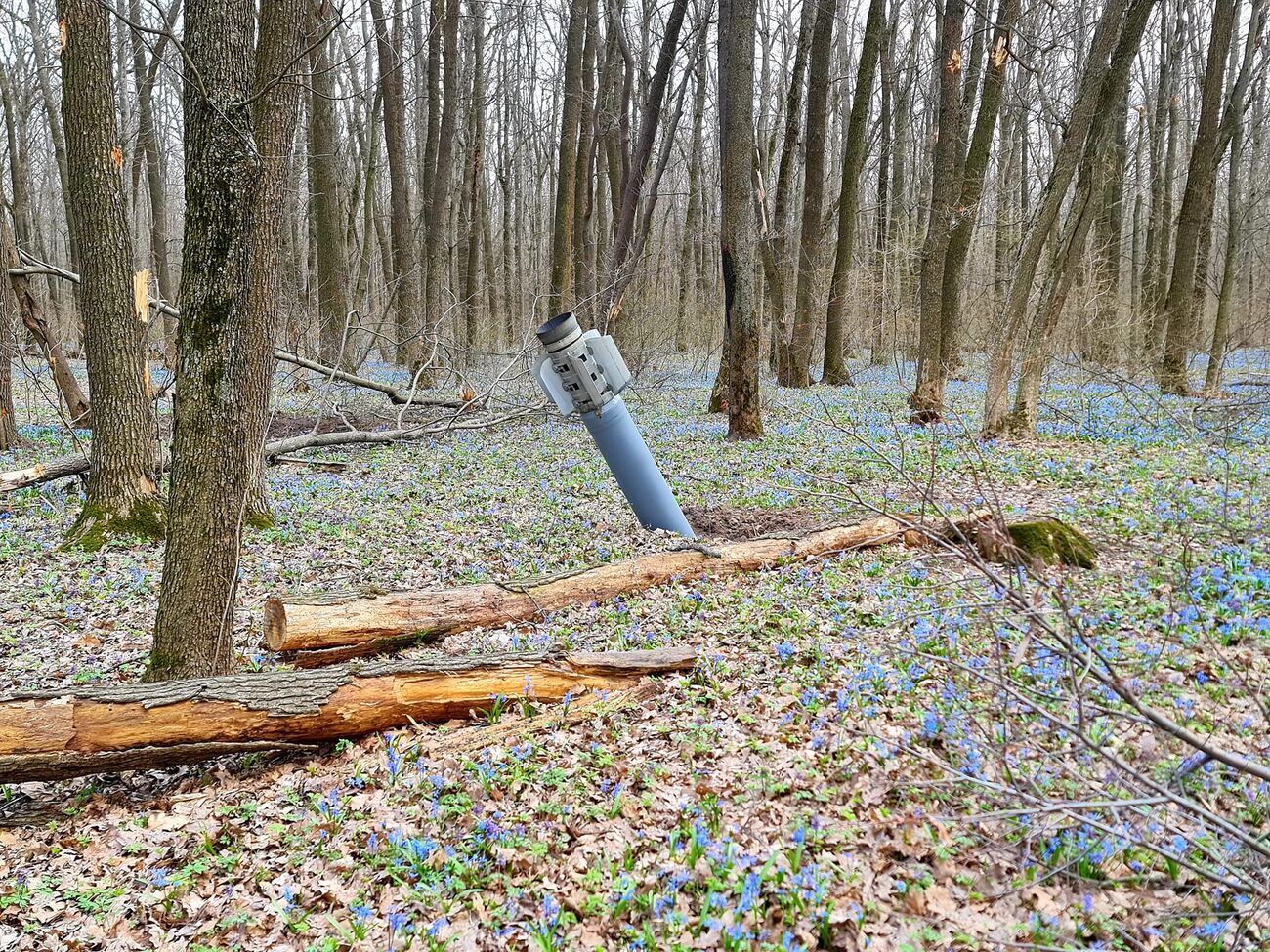 Деоккупированные части Харьковской и Херсонской областей "лидируют" по загрязнению&nbsp;взрывоопасными предметами