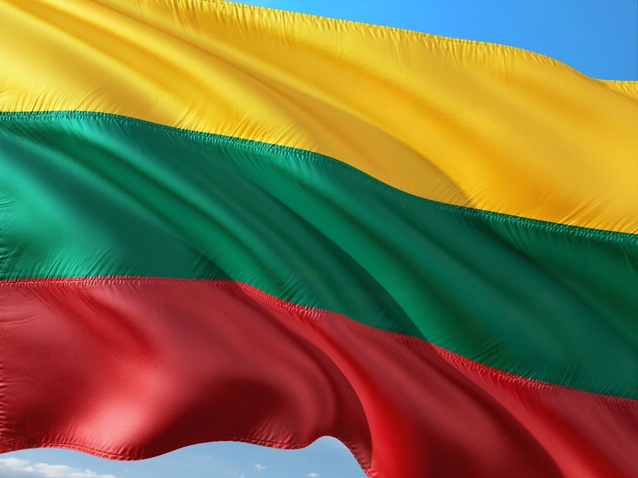 У Литві хочуть вжити заходів проти українців, які не вивчили мови