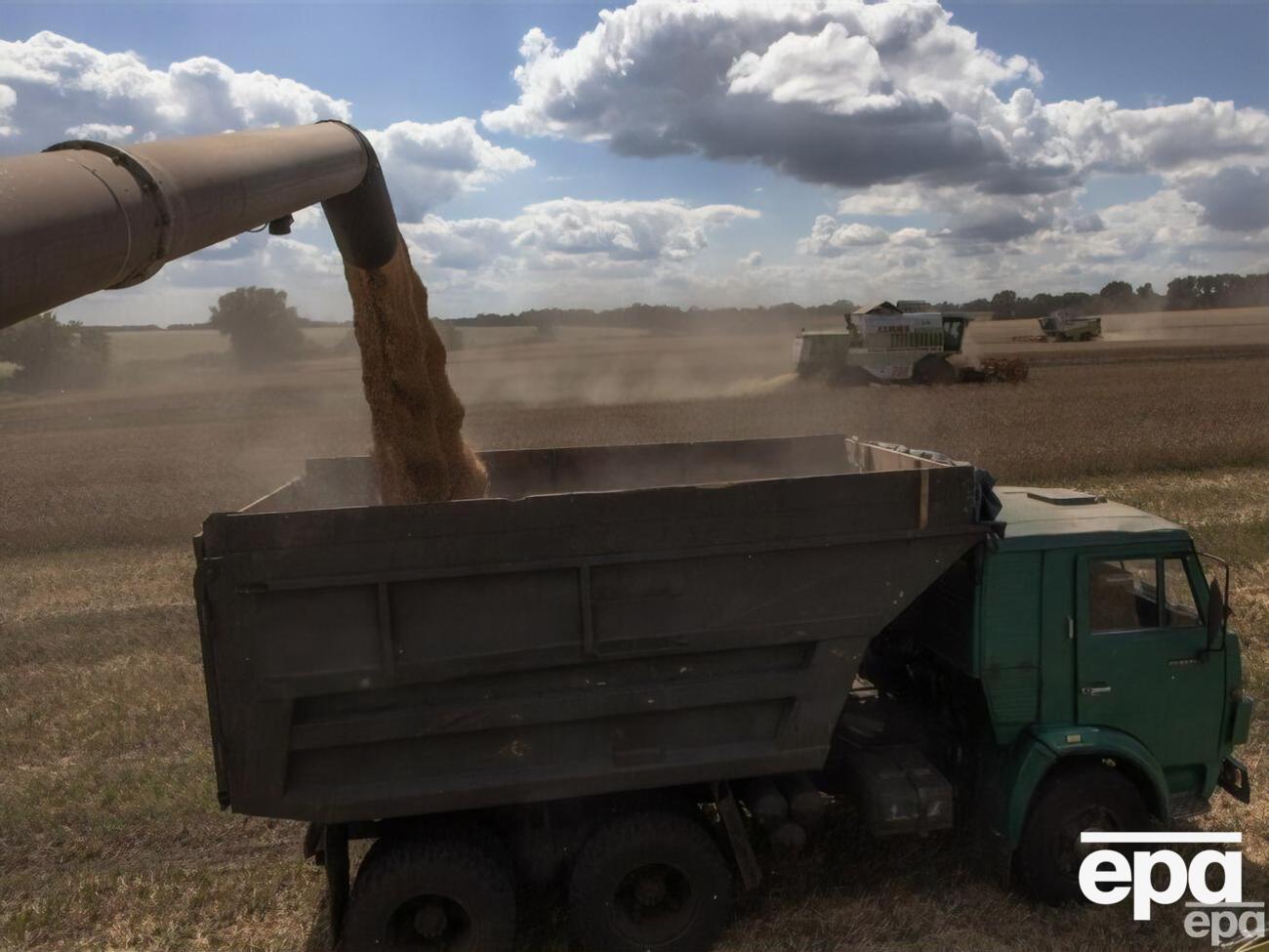 Українське зерно не постачатимуть до Польщі щонайменше кілька місяців