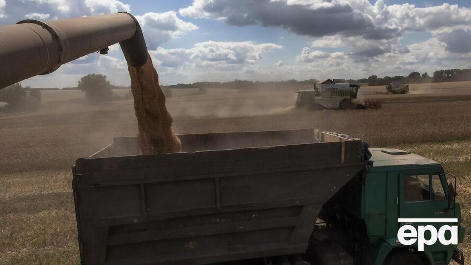 Українське зерно не постачатимуть до Польщі щонайменше кілька місяців