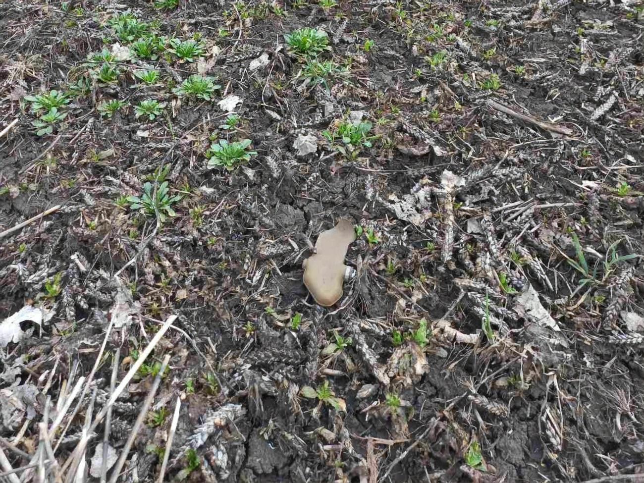 Харківська область &ndash; один із найзабрудненіших мінами регіонів України