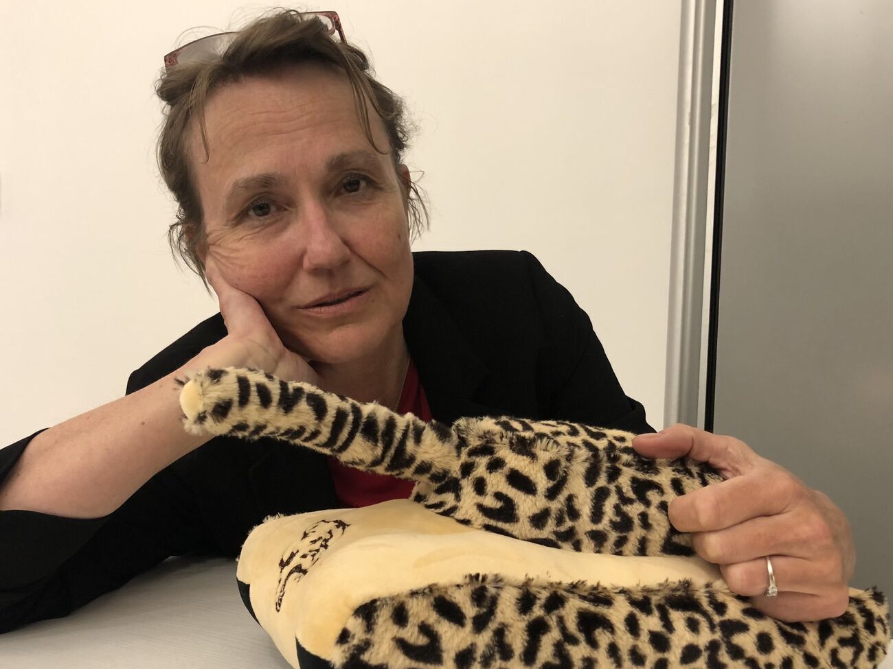 Фельдгузен наголосила, що ФРН буде з Україною "так довго, як це буде необхідно"