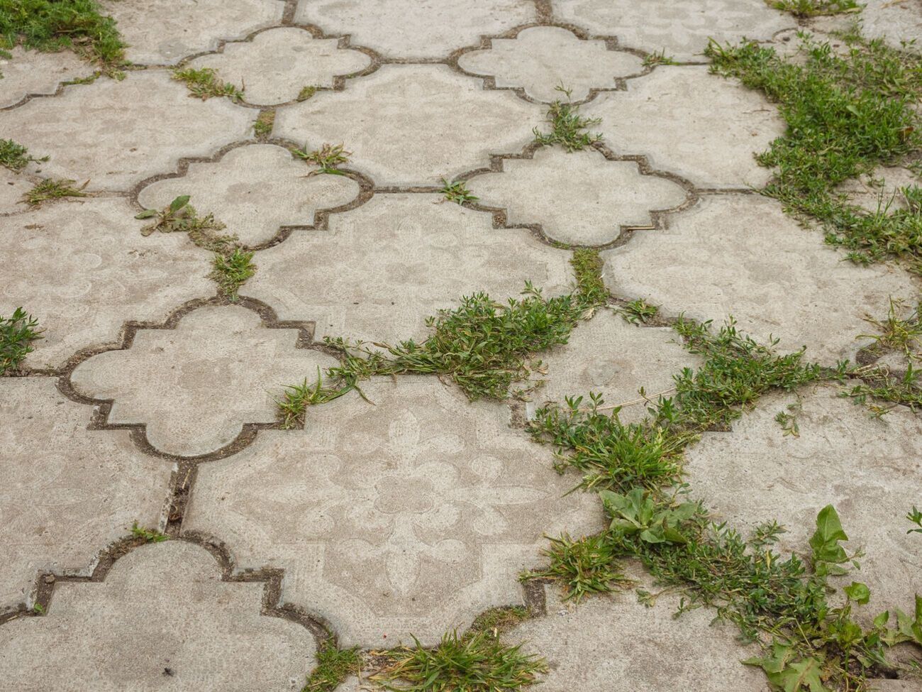 Садоводы отметили, что огнемет лучше всего подходит для борьбы с сорняками и молодыми многолетниками