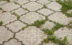 Садоводы отметили, что огнемет лучше всего подходит для борьбы с сорняками и молодыми многолетниками