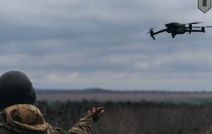 Украинский дрон отогнал лису и ударил по оккупантам
