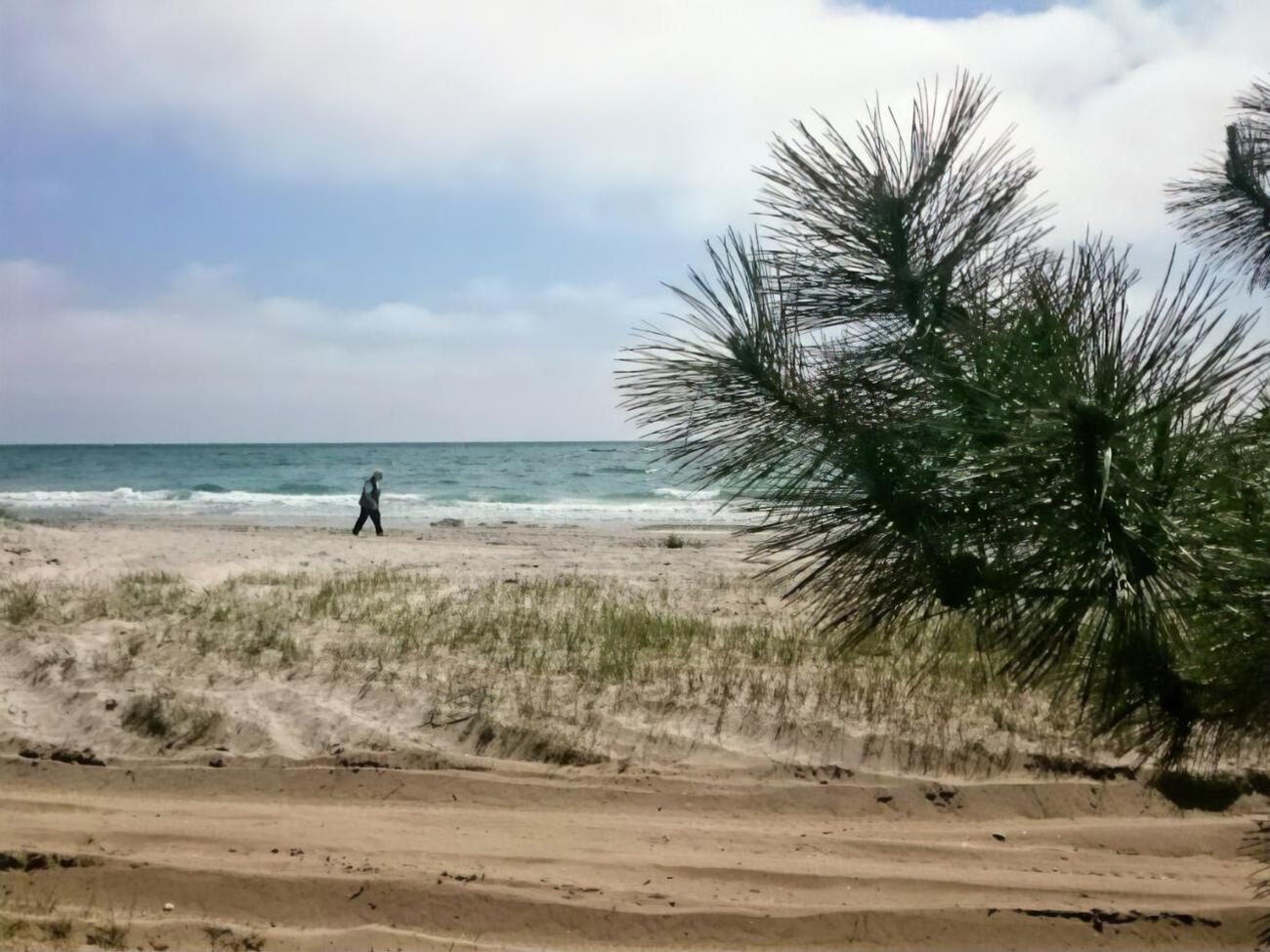 На Кинбурнском полуострове зафиксировано более сотни пожаров