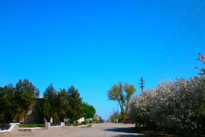 Оккупанты не первый раз обстреливают Отрадокаменку